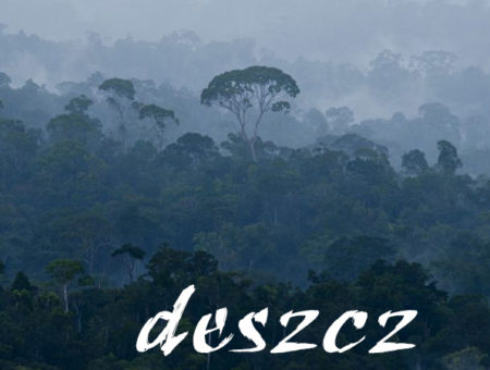 Deszcz i słońce – czyli sauna cały dzień