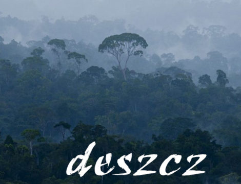 Deszcz i słońce – czyli sauna cały dzień