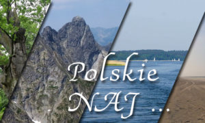 Polskie NAJ …
