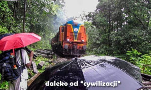 Szlak daleko od „cywilizacji”