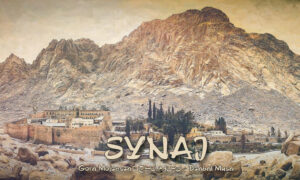 Synaj