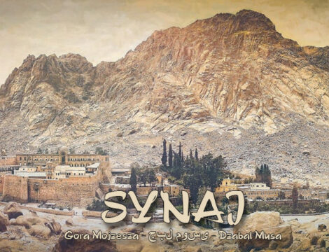 Synaj