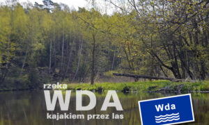 Rzeka Wda – kajakiem przez las