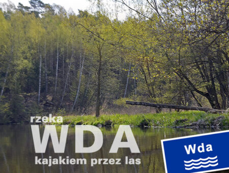 Rzeka Wda – kajakiem przez las
