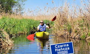 Czarna Hańcza – kultowa rzeka kajakarzy